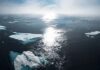 Why Did Trump Want to Acquire Greenland? Unpacking the Hidden Motives