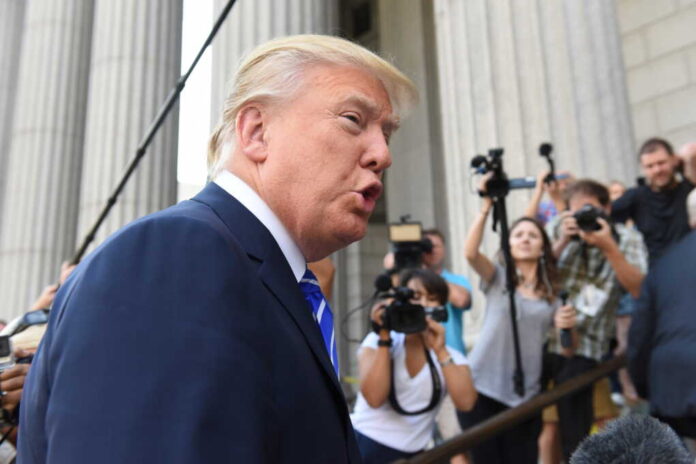 307057739 featured image Trump Court