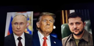 Putin Trump Zelenskyy